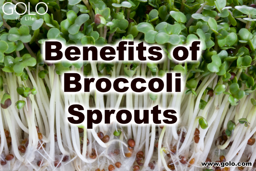 Bundle of broccoli sprouts